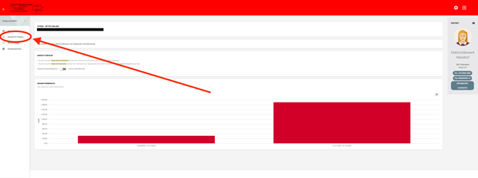 Smartmeterportal_E_Werk_Mariahof_Step_2